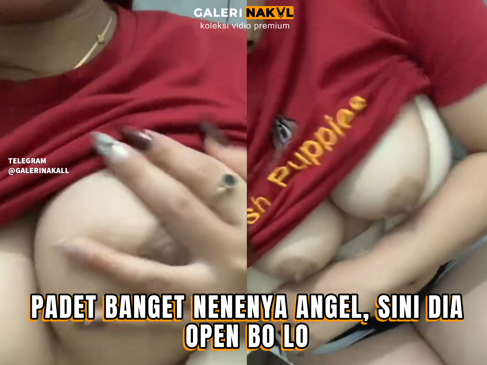 VVIP ANGEL 7